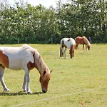 Casa vacanze Fyrrevaenget X Blåvand