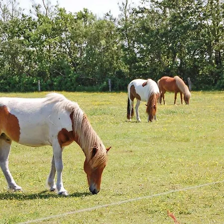 Feriehus Fyrrevaenget X Blåvand